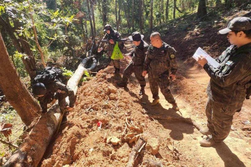 Незаконная дорога в заповеднике дикой природы расследуется