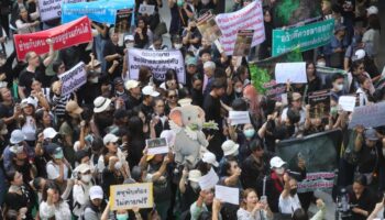 Протест против неудачного перемещения слонов