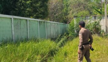 Психически больной человек пойман за сексуальным насилием над собакой возле школы в Бурираме