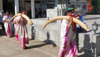 Священные клыки Карен вернулись