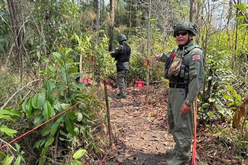 Сообщения о 6 новых mines, заложенных рядом с Камбоджей