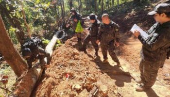 Сучарт принимает меры для остановки незаконной лесной деятельности