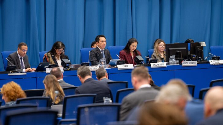 Таиланд назначен председателем подсекции по космической науке ООН