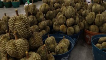 Фруктовый магнат застрелен насмерть в споре, связанном с долгами