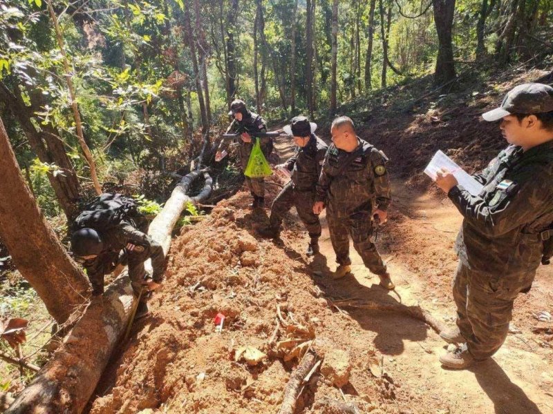 DNP расследует незаконные дороги укрытия