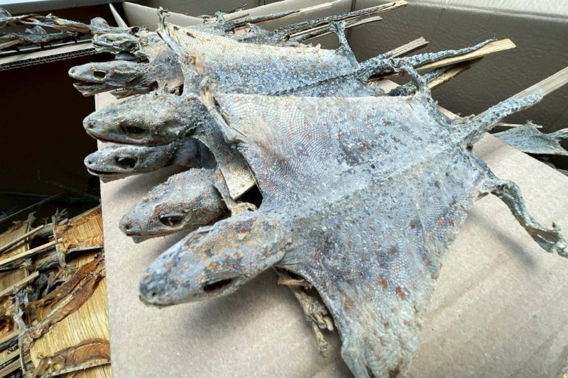 120,000 контрабандных высушенных гекконов изъято в Патум Тхани