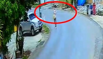 2 русские женщины попали в объектив камеры наблюдения, забирая домашнего кота у мужчины из Пхукета