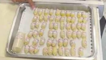 2 тайские женщины заключены в тюрьму на Тайване за контрабанду героина