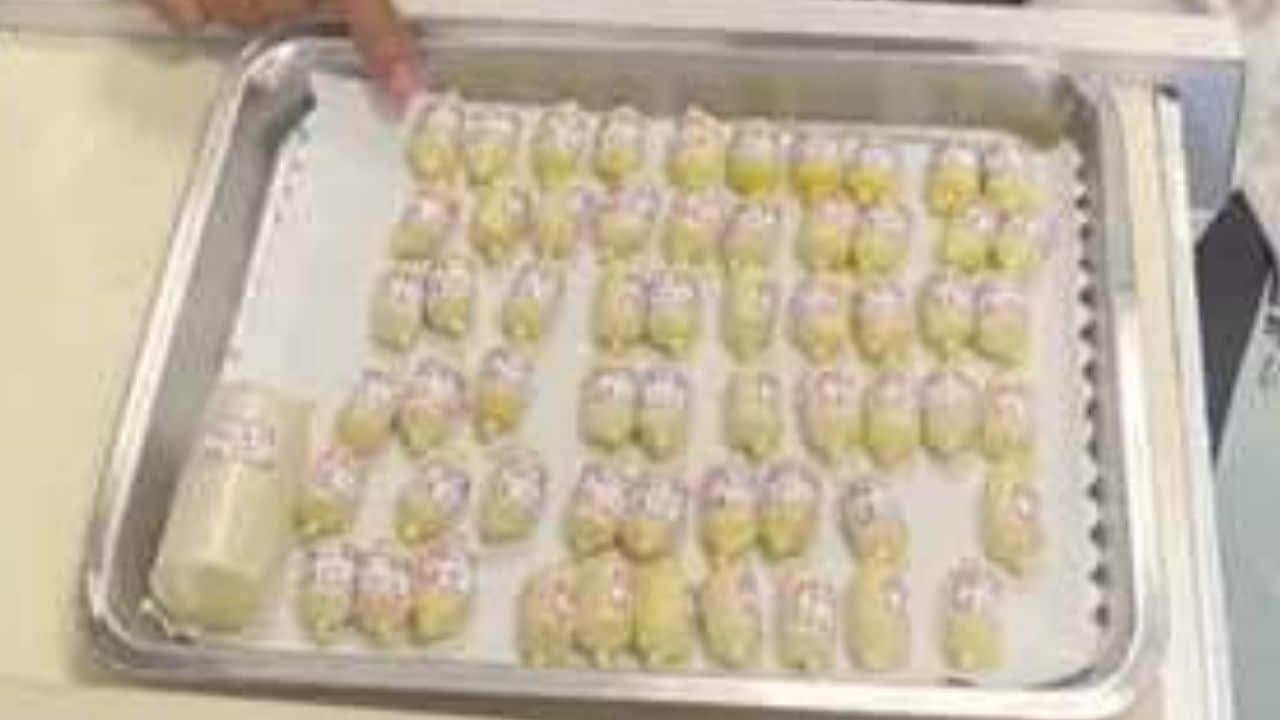 2 тайские женщины заключены в тюрьму на Тайване за контрабанду героина