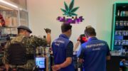 Более 100 магазинов каннабиса попали под проверки на Пхукете