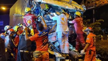 Два водителя, множество убитых свиней в аварии с несколькими грузовиками