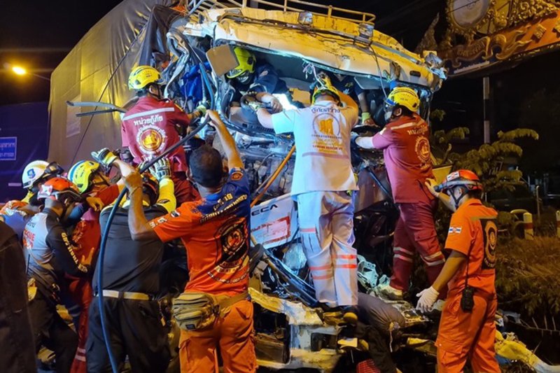 Два водителя, множество убитых свиней в аварии с несколькими грузовиками