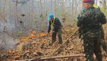Записано 4,750 'горячих точек', обнаруженных по всей Таиланду