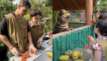 Итальянец делает предложение своей девушке с Му Дэнг в качестве свидетеля