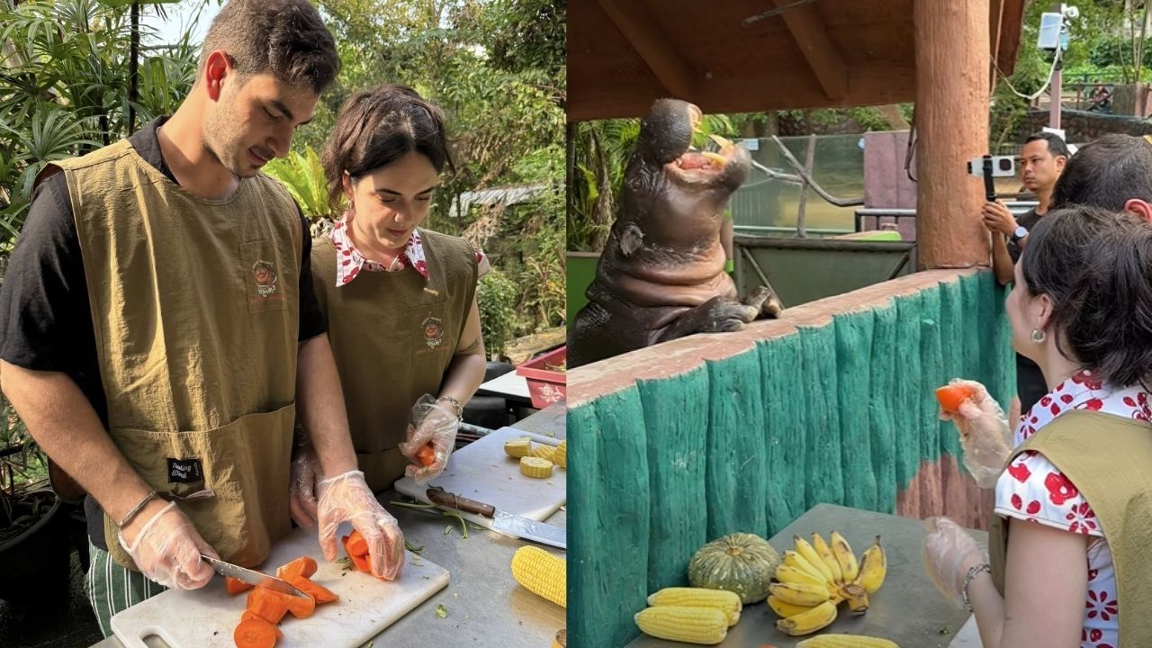 Итальянец делает предложение своей девушке с Му Дэнг в качестве свидетеля