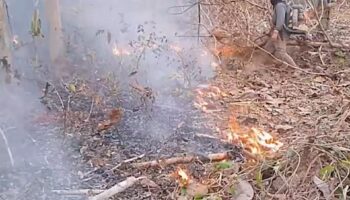 Лесные пожары разрушают леса Лампана, так как качество воздуха на севере Таиланда падает в красную зону