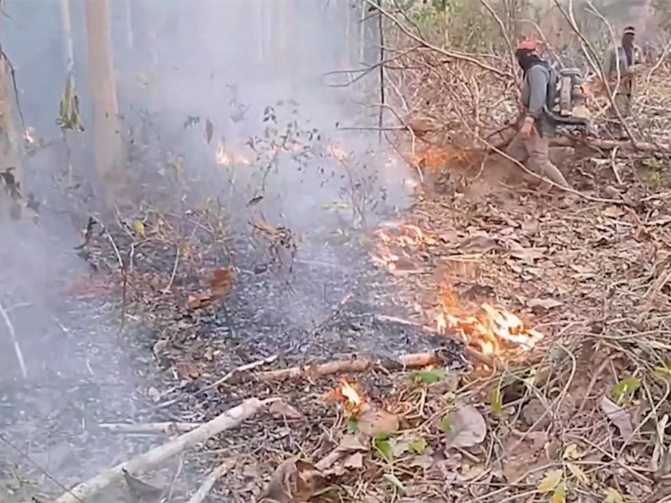 Лесные пожары разрушают леса Лампана, так как качество воздуха на севере Таиланда падает в красную зону