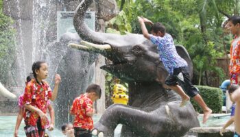 Министерство запускает национальный план безопасности путешествий на фестивали