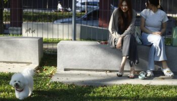 Оживленный городской парк получает восторженные отзывы