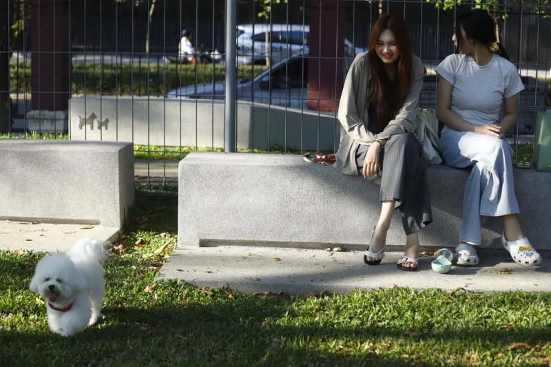 Оживленный городской парк получает восторженные отзывы