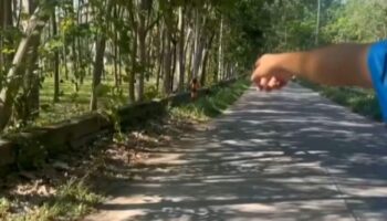 Таиландка якобы оголила грудь перед двумя подростками.