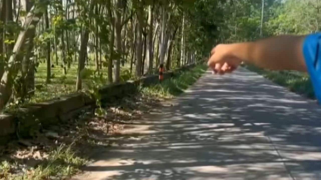 Таиландка якобы оголила грудь перед двумя подростками.