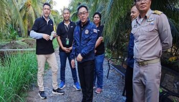 Тайланд принимает меры по стабилизации цен на кокосы Нам Хом на фоне беспокойства фермеров