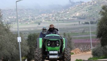 Тайский работник убит в иранском ударе по Израилю