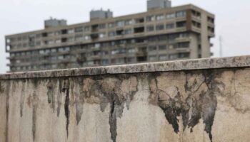 Тайцы отстаивают про-иранскую позицию