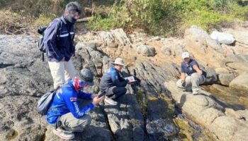 Уборка побережья от мазута продолжается на Пхукете