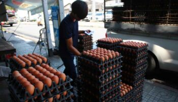 Цена на яйца на фермерском рынке растет