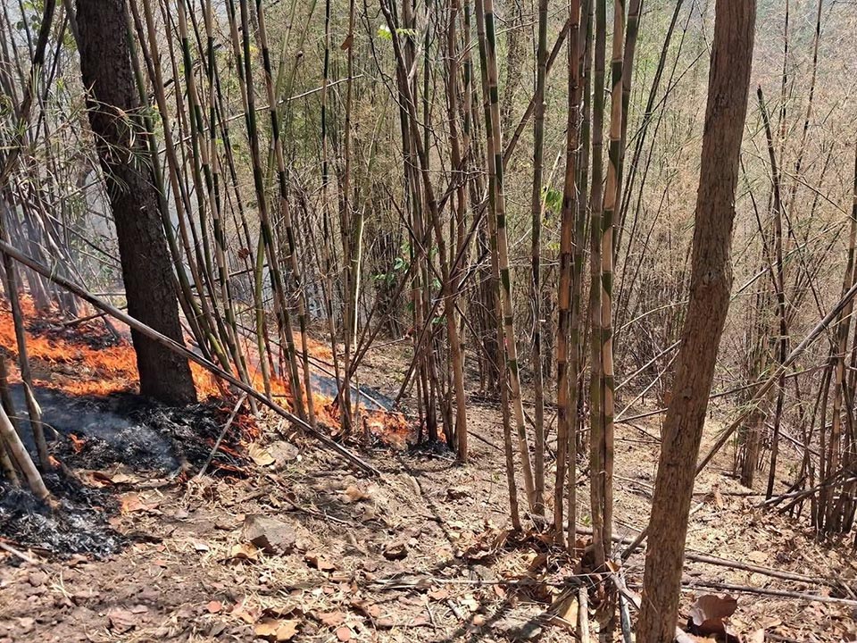 Чианг-Май возглавляет мировые рейтинги загрязнения, так как смог от лесных пожаров поднимает уровень PM2.5 до опасных значений