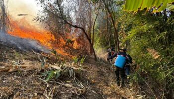 5,277 очагов пожара — новый рекорд в Таиланде