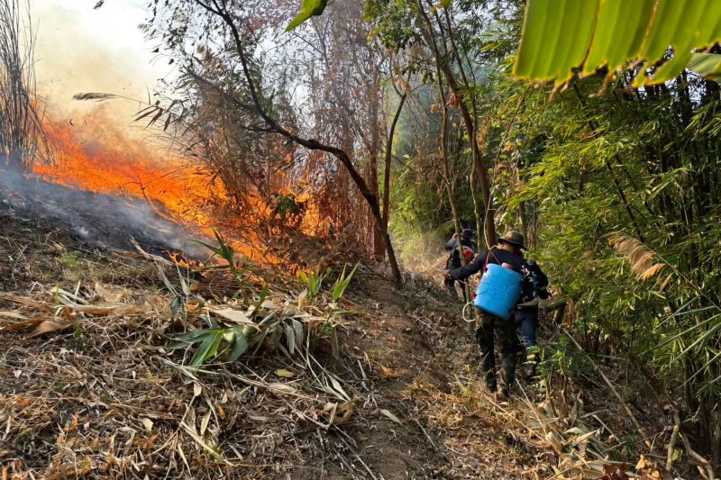 5,277 очагов пожара — новый рекорд в Таиланде