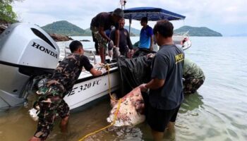 B50,000 награда за информацию о человеке, который обезглавил дюгоня