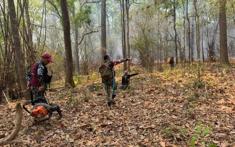 Анутин посетит Чиангмай, чтобы справиться с дымом от лесных пожаров