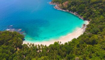 Выявление рая захватчика