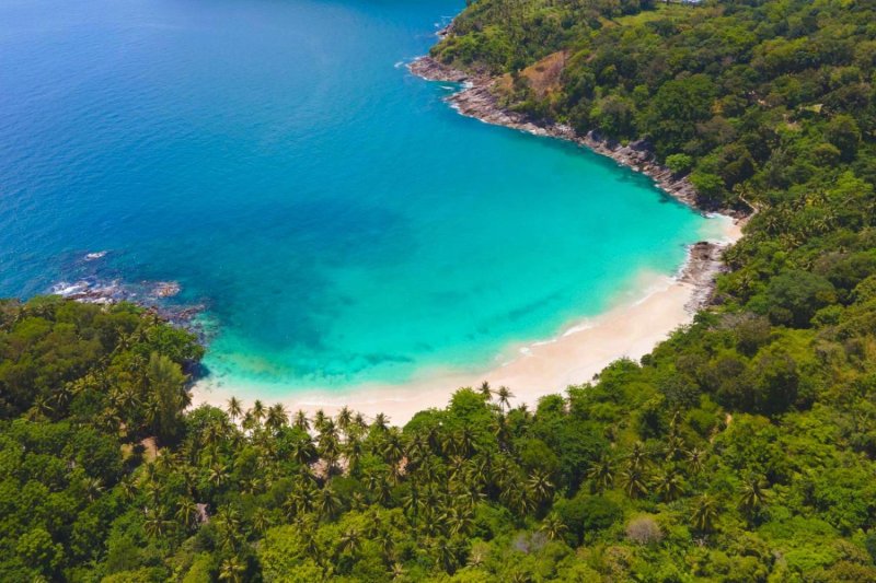 Выявление рая захватчика