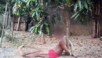 Глава деревни обвиняется в жестоком самосуде в Пхатталанге, жертва связана к дереву и атакована красными муравьями