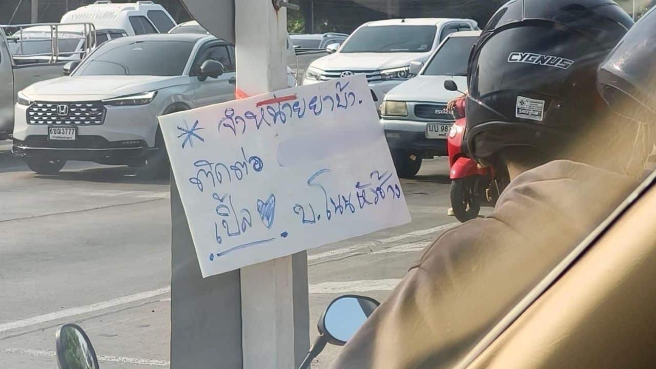 Жители Лопбури ставят под сомнение подлинность рекламного знака Яба на дороге