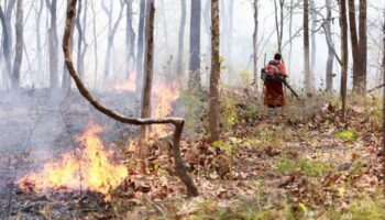 Законопроект о чистом воздухе может навредить экономике, говорит депутат Бхумджайтай.