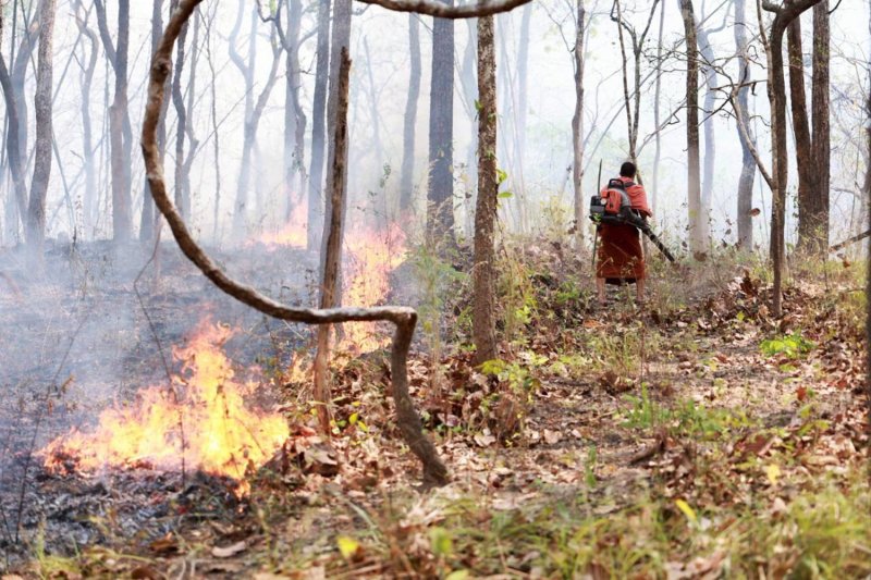 Законопроект о чистом воздухе может навредить экономике, говорит депутат Бхумджайтай.