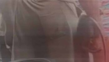 Иностранца в Паттайе обвиняют в том, что он заставлял обезьяну пить алкоголь и курить