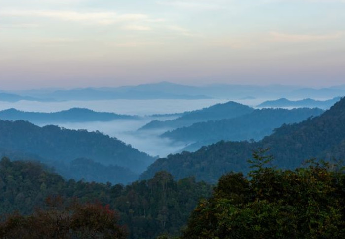 Ищут виновников пожара в Кхаенг Крачане