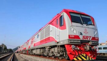 Кошка укусила хозяина, остановила тайский поезд, ее обвинили в семичасовой задержке