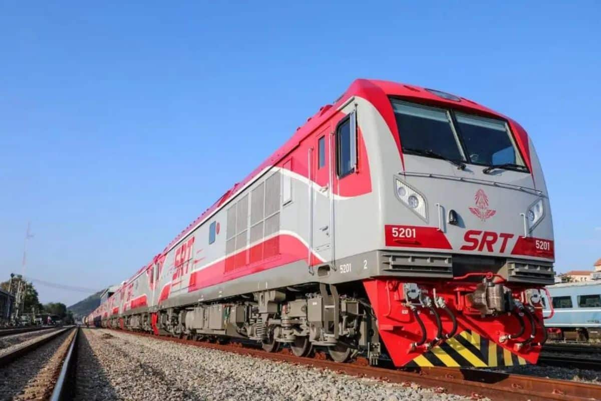 Кошка укусила хозяина, остановила тайский поезд, ее обвинили в семичасовой задержке