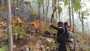Кризис лесных пожаров в Мае Хон Соне усугубляется
