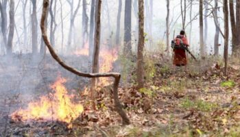 Небезопасные уровни смога окутывают 37 провинций, наиболее пострадавший район Пай в Mae Hong Son