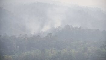 Объявлено бедствие в трех северных провинциях Таиланда