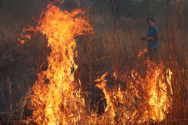 Огромное количество людей борется с лесными пожарами